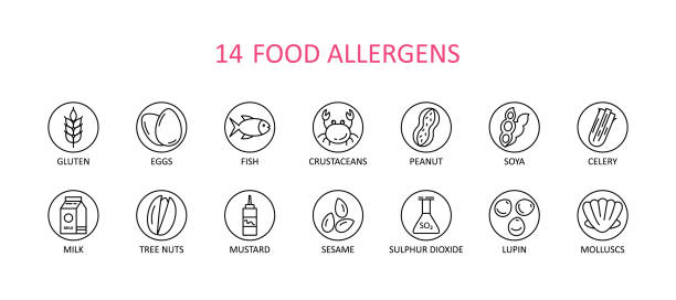 14 round food allergens icon. Vector set of 14 icons. Collection includes gluten, fish, egg, crustacean, peanut, lupin, soya, milk, trees nuts, mustard, sesame, sulphur dioxide. 14 round food allergens icon. Vector set of 14 icons. Collection includes gluten, fish, egg, crustacean, peanut, lupin, soya, milk, trees nuts, mustard, sesame, sulphur dioxide. pollen stock illustrations