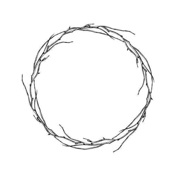 Round frame of twisted branches. Round frame of twisted branches. bird's nest stock illustrations