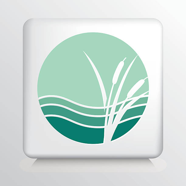 Round Icon with White Cattails and Waves Silhouette on Green Round Icon With White Cattails and Waves Silhouette on Green cattail stock illustrations