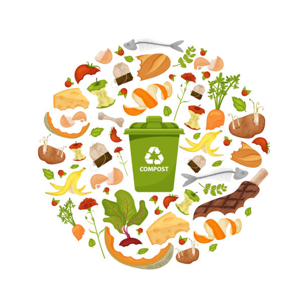 Round template Organic waste theme Round template Organic waste theme. Collection of fruits and vegetables. Illustration for home food processing and compost, organic waste, zero waste, environmental problem. Flat icons, vector design. leftovers stock illustrations