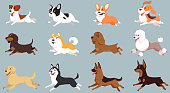 Running dogs of different breeds. Big set of cute pets.