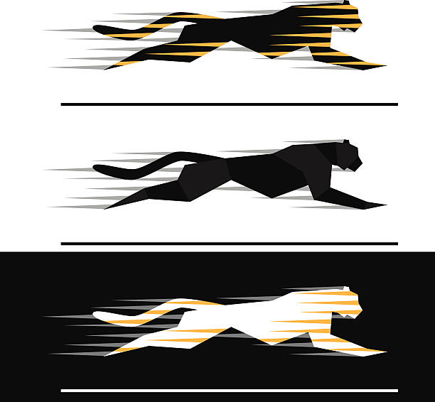 Running feline Silhouettes of running big felines with speed motion trails  - geometric style. speed silhouettes stock illustrations