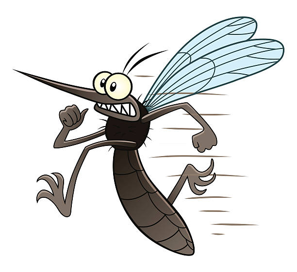 stockillustraties, clipart, cartoons en iconen met running mosquito - muggen