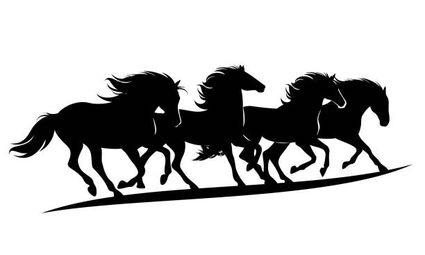 running mustang horses herd black and white vector silhouette herd of wild mustang horses rushing forward - black vector silhouette outlines of running animals group horse clipart stock illustrations