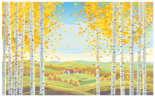 Rural autumn landscape