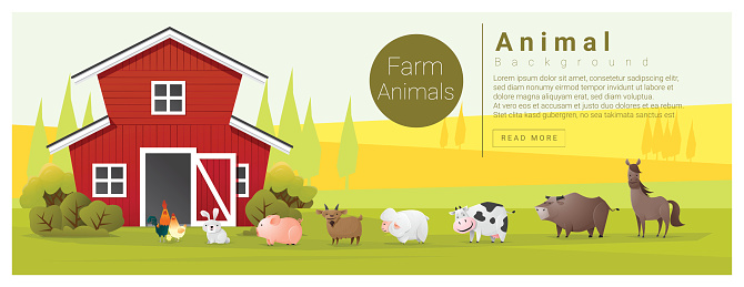 Rural landscape and farm animal background