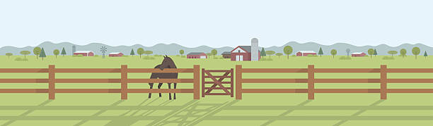 bildbanksillustrationer, clip art samt tecknat material och ikoner med rural landscape panorama - häst jordbruk
