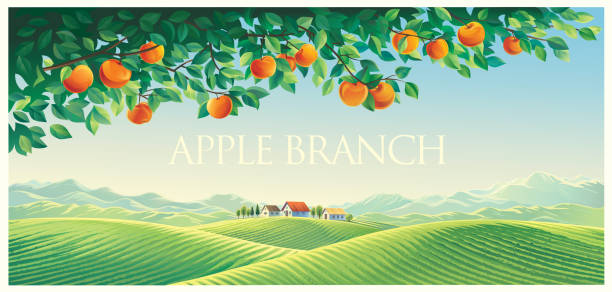 Rural landscape with branch of an apple tree Rural landscape with mountains and hills as well as with a branch of an apple tree in the foreground. farm stock illustrations