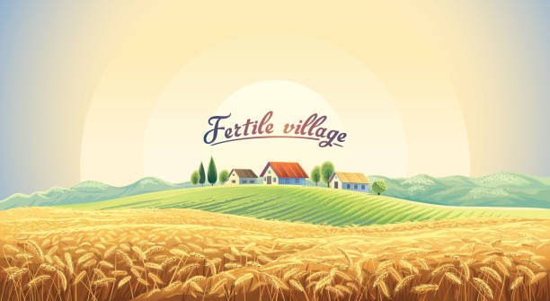 illustrations, cliparts, dessins animés et icônes de paysage rural avec blé champ - panneau village