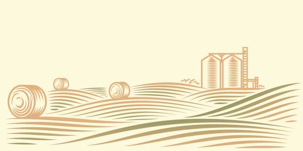 illustrazioni stock, clip art, cartoni animati e icone di tendenza di paesaggio rurale con campi, pagliai e ascensore per cereali - messi