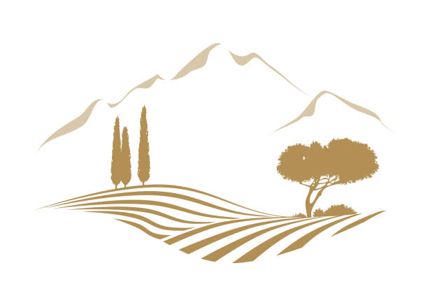 rural mediterranean vector landscape illustration with cypress trees and pine rural mediterranean vector landscape illustration with cypress trees, pine, hills, plowed fields and the mountains in the background vineyard stock illustrations