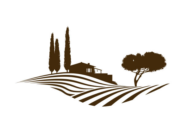 rural mediterranean vector landscape illustration with cypress trees, cottage and pine rural mediterranean vector landscape illustration with cypress trees, cottage, hills, plowed fields and pine landscape scenery clipart stock illustrations