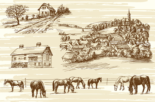 Rural scene with horses. Hand drawn set.