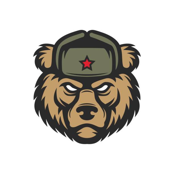 Russian bear in hat Russian bear in hat bear growling stock illustrations