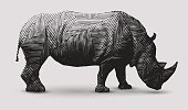 Vector rhinoceros illustration. Polygon shaped line- art.