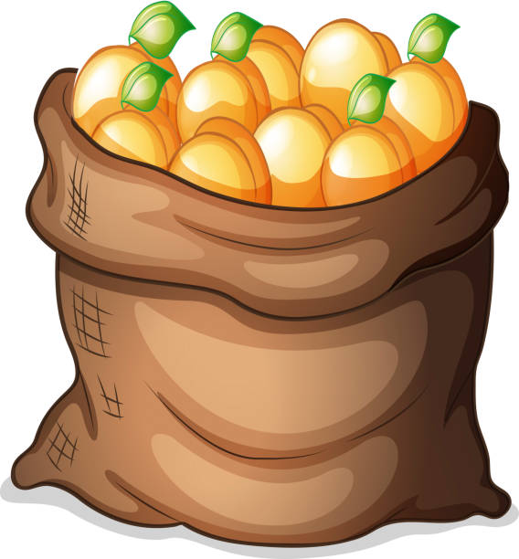 Royalty Free Orange  Pulp Clip Art Vector Images  Royalty Free Orange  Pulp Clip Art Vector Images