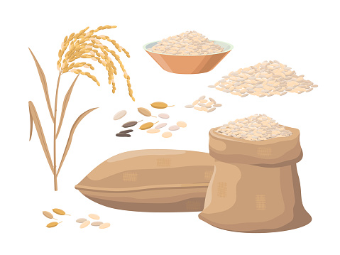Sack of rice, rice heap, plant, rice in bowl. Harvest concept. Vector illustrations set isolated on white background.