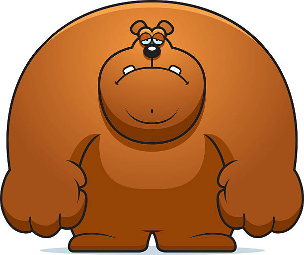 Bear picture grumpy GRUMPY BEAR