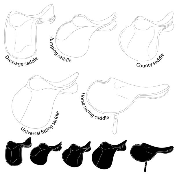 Saddles for riding. Black and white illustration types of saddles. Similarities and differences for study in specialized educational institutes and sports sections. Web icons. Saddles for riding. Black and white illustration types of saddles. Similarities and differences for study in specialized educational institutes and sports sections. Web icons. saddle stock illustrations