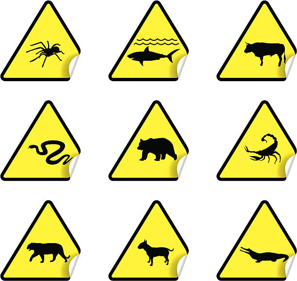 Safety Warning Sticker Set 4 vector art illustration