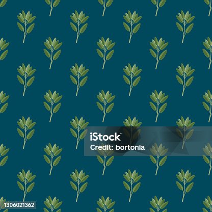 istock Sage Herb Pattern 1306021362