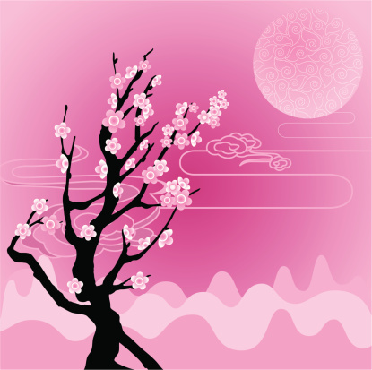 Sakura / Cherry Blossom