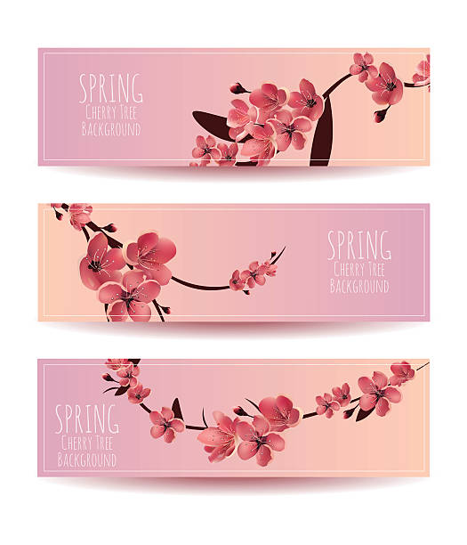 Cherry Blossom Tree Clip Art, Vector Images & Illustrations - iStock