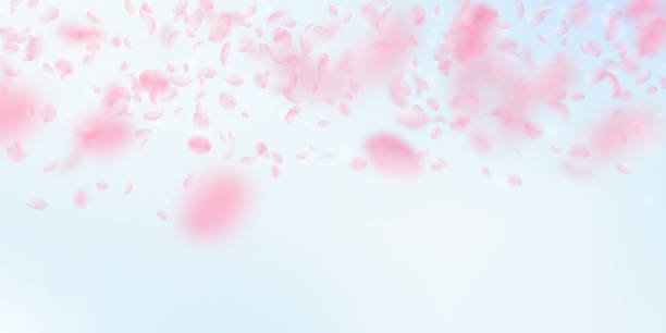 桜の花びらが落ちています。ロマンチックなピンクの花のグラデーション。青い空広い比較に花びらを飛んでください。 - 花びら点のイラスト素材／クリップアート素材／マンガ素材／アイコン素材