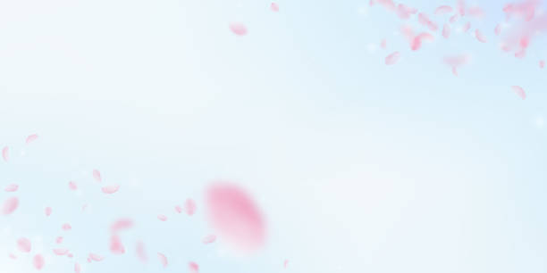 桜の花びらが落ちています。ロマンチックなピンクの花 - 花びら点のイラスト素材／クリップアート素材／マンガ素材／アイコン素材