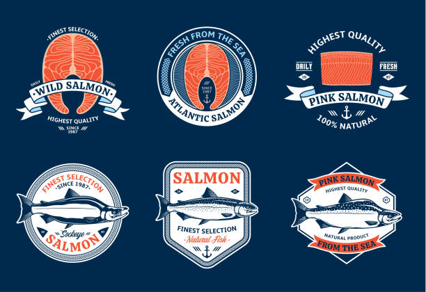 illustrations, cliparts, dessins animés et icônes de saumon et éléments de conception - saumon