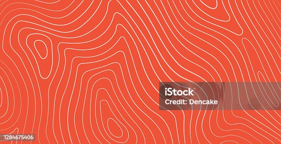 istock Salmon fillet texture, fish pattern. Vector background with stripes salmon 1284675406