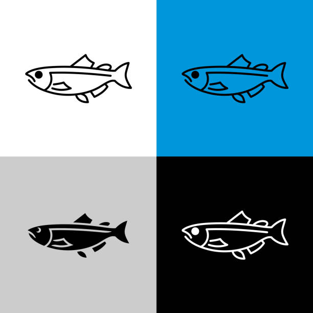 illustrations, cliparts, dessins animés et icônes de icône de poisson saumon. ligne style symbole de saumon. - saumon