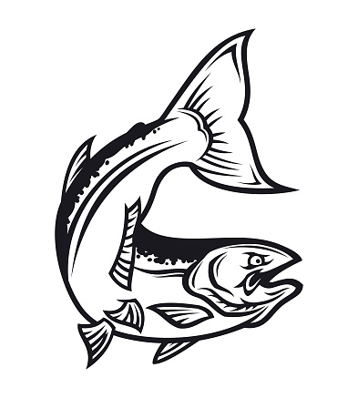 Salmon fish silhouette - cut out vector icon