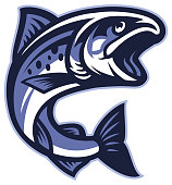 istock Salmon Fish 859967216