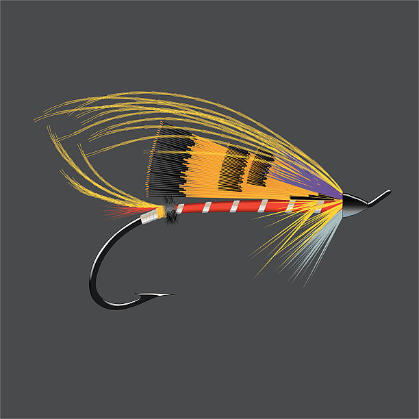 Salmon Fly - Durham Ranger vector art illustration