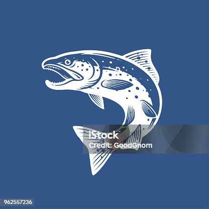 istock Salmon icon 962557236