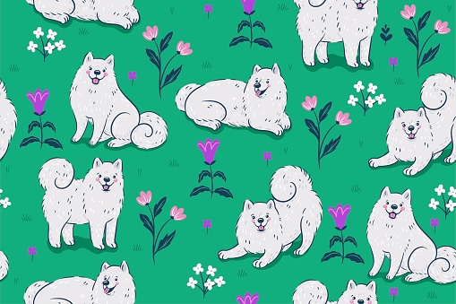 Samoyed dogs on a green meadow seamless pattern. Vector graphics.