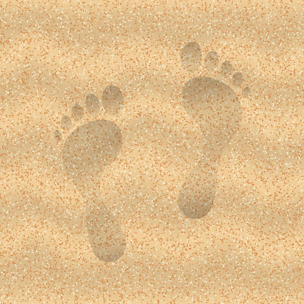stockillustraties, clipart, cartoons en iconen met zand van het strand - voeten in het zand