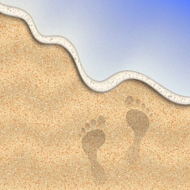 Footprints In The Sand Illustrations, Royalty-Free Vector Graphics ...