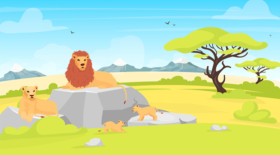Savannah landscape flat vector illustration. African environment with lions lying on rock. Safari field with trees and creatures. Conservation park. South animals cartoon characters