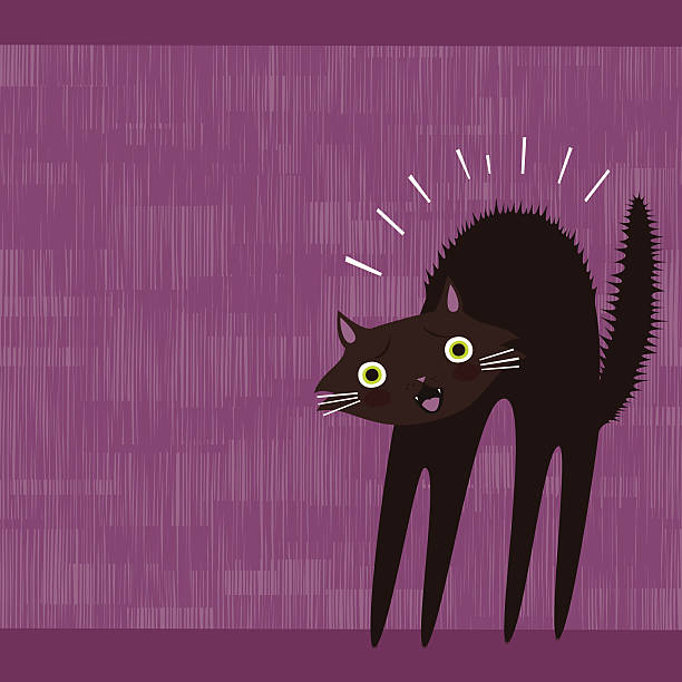 Scared black cat vector art illustration
