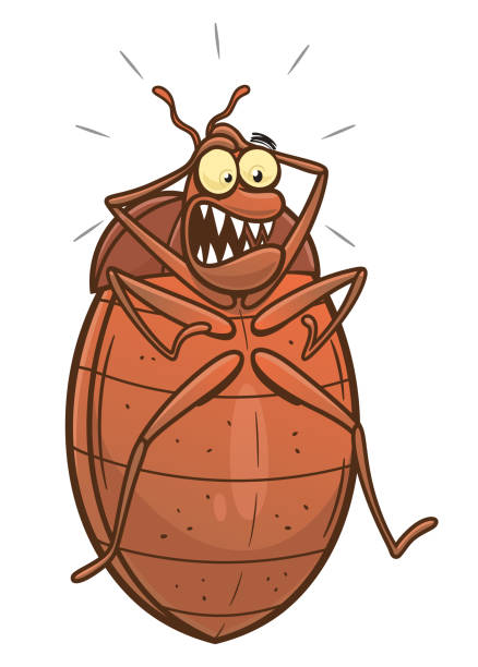Scared cartoon bedbug
