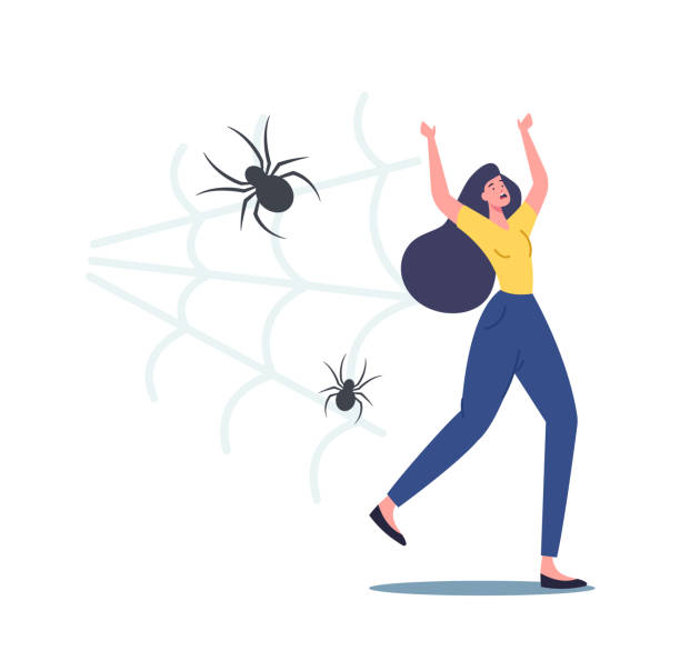 Scared Yelling Woman Run Away from Creepy Spider Being Afraid of Insect. Female Character Suffering from Arachnophobia Scared Yelling Woman Run Away from Creepy Spider Being Afraid of Insect. Female Character Suffering from Arachnophobia Psychological Problem, Having Panic Attack. Cartoon People Vector Illustration arachnophobia stock illustrations