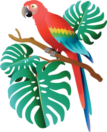 scarlet macaw and philodendron leaves