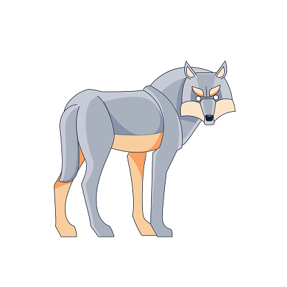 Scary gray Wolf or Timber wolf (Canis lupus) standing and looking back. Wildlife scene. Cartoon character of a dangerous mammal animal. Vector flat style illustration isolated on a white background