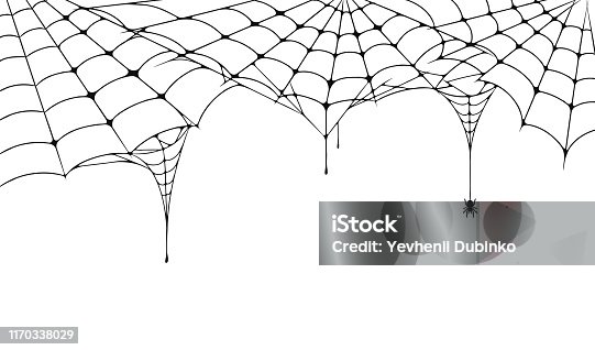 istock Scary spider web, Halloween festive background. Cobweb on white background with spider. Spooky spider web for Halloween poster, greeting card, party invitation etc 1170338029