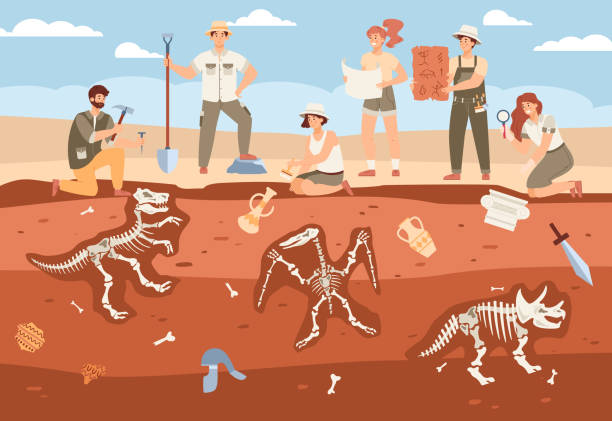 szene mit männlichen, weiblichen zeichentrickfiguren archäologen, die an ausgrabungen arbeiten - archäologe stock-grafiken, -clipart, -cartoons und -symbole