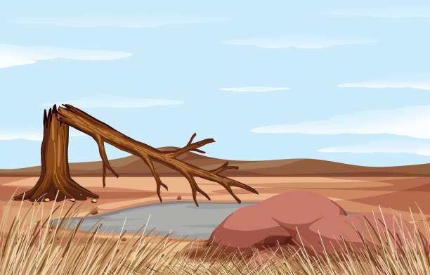 сцена с проблемой обезлесения - drought stock illustrations