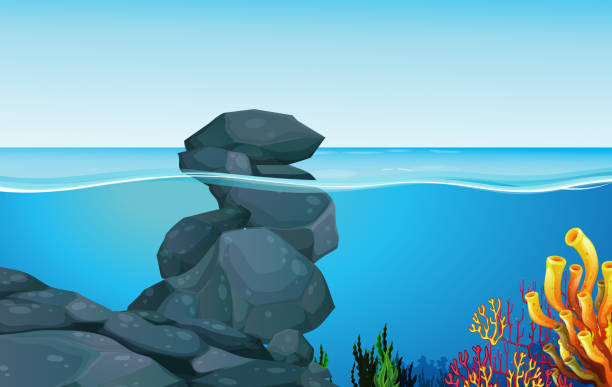 海底 岩 イラスト素材 Istock