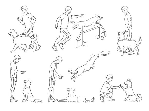 Dog Agility Illustrations, Royalty-Free Vector Graphics